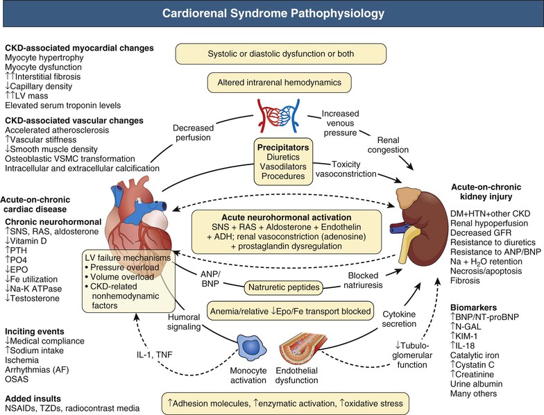 cardiovascular-disease-in-chronic-kidney-disease-abdominal-key