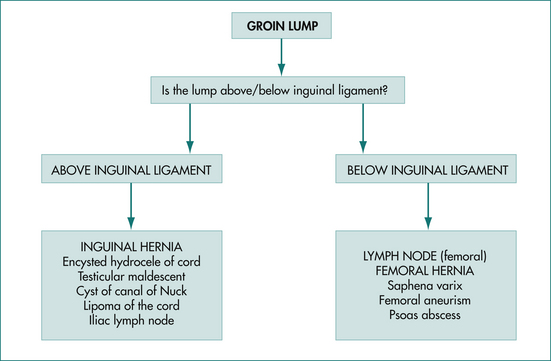Groin lumps in Groin Lumps: