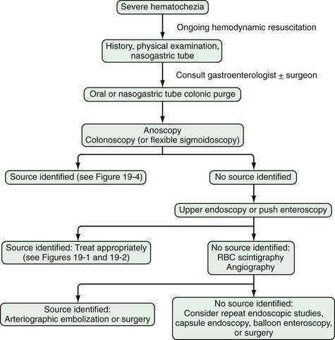 Download Gastrointestinal Bleeding Abdominal Key