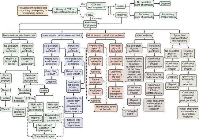 Intestinal Ischemia Abdominal Key 