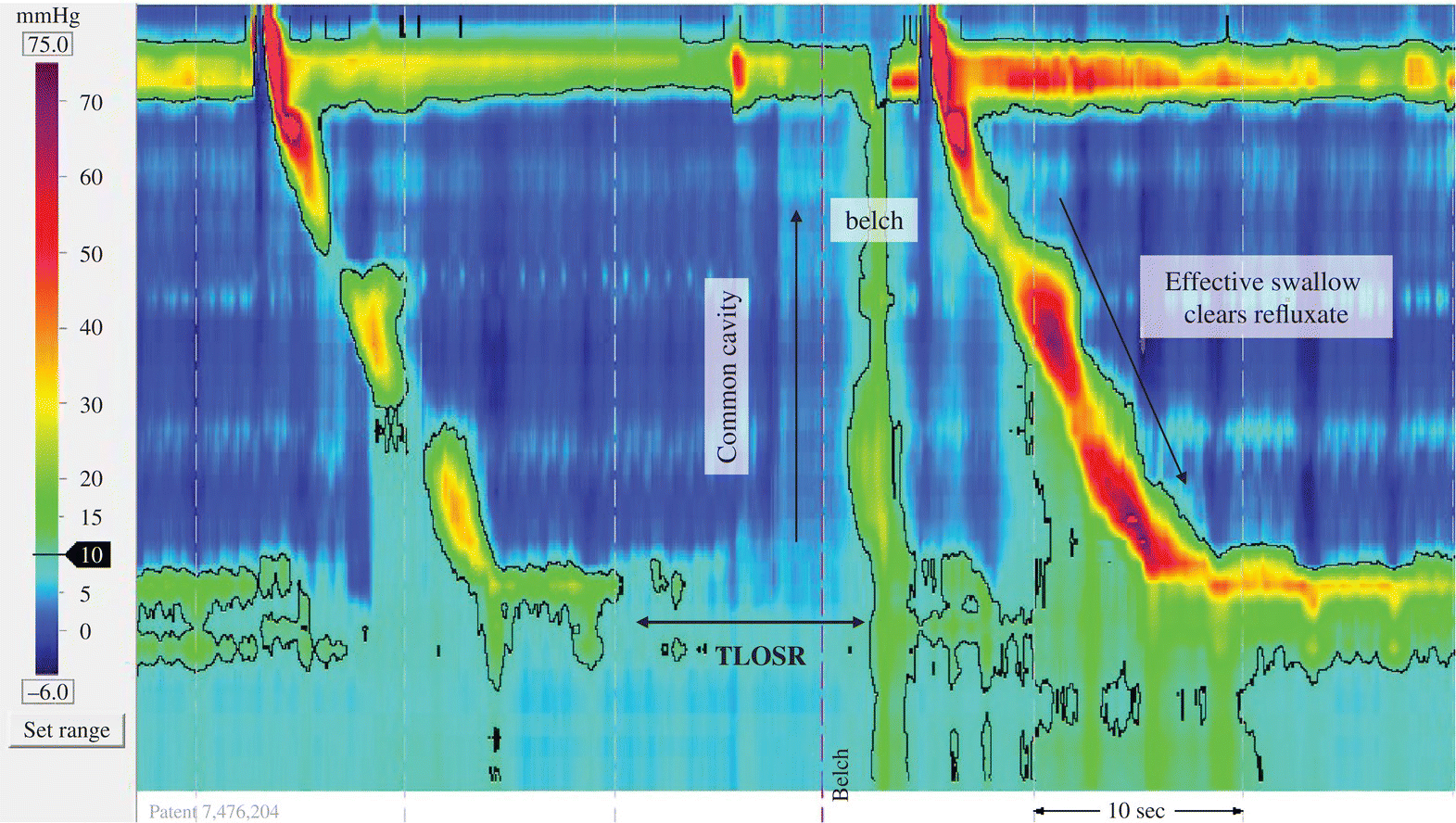 c1-fig-0002