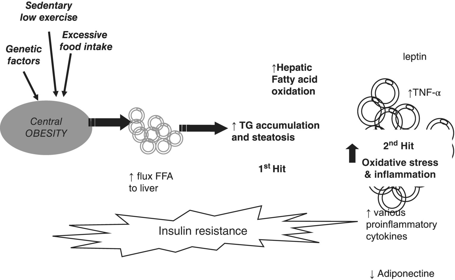 c4-fig-0002