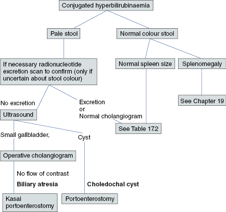 c17-fig-5003