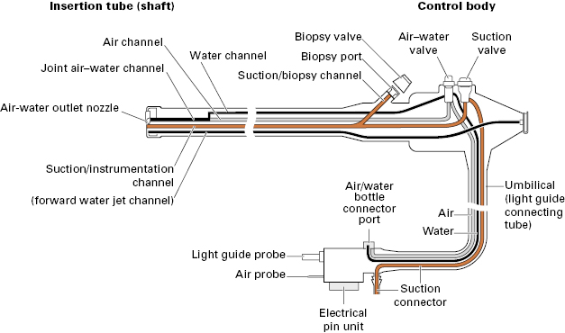 Olympus Endoscope Diagram