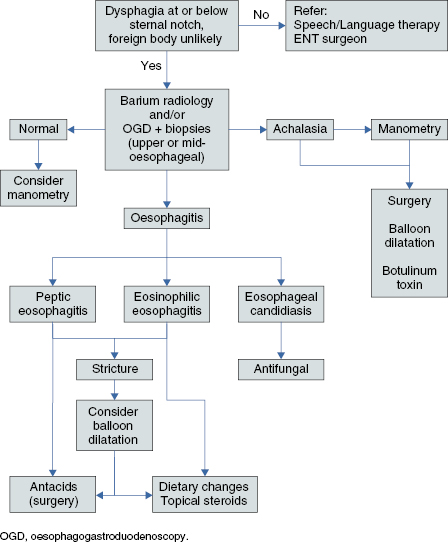 c5-fig-5001