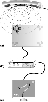 c6-fig-0004