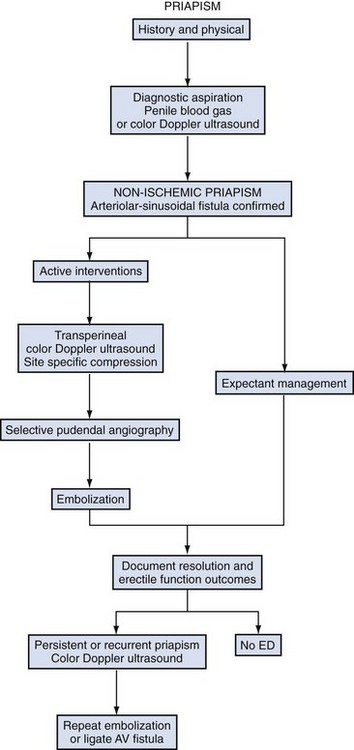 Priapism | Abdominal Key