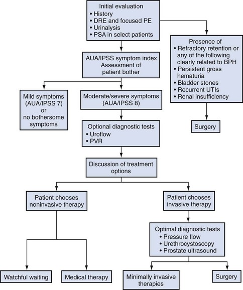 benign prostatic hyperplasia guidelines)