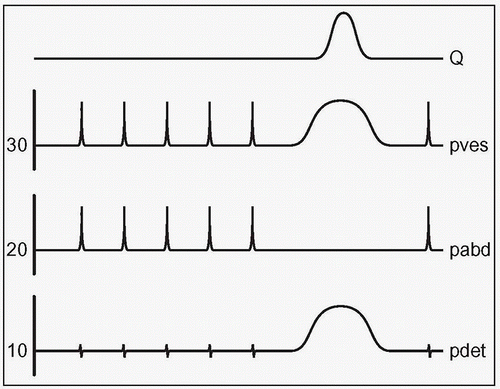 C3-FF33.gif | Abdominal Key
