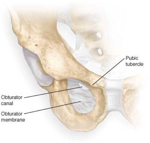 obturator canal