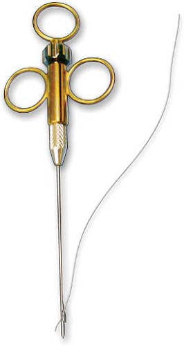 Digestive Key Ring DA4C32FF15.jpg | Abdominal Key