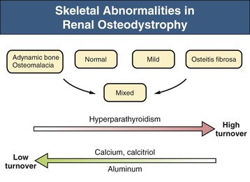renal osteodystrophy pathogenesis