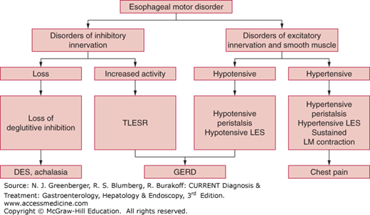 esophageal dysmotility