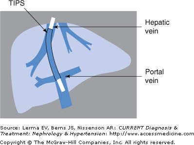 m_lerma_c010f004.gif | Abdominal Key