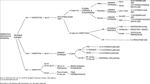 m_mcan18_c043f008.png | Abdominal Key