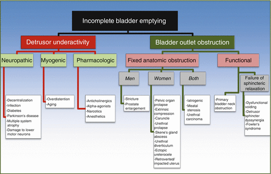 A308862_1_En_13_Fig2_HTML.gif