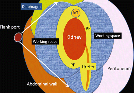 A315716_1_En_4_Fig10_HTML.gif