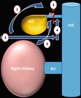 A315716_1_En_5_Fig15_HTML.gif