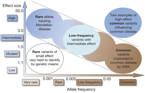 A330611_1_En_3_Fig1_HTML.gif