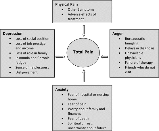 Palliative Care in Urological Cancer | Abdominal Key