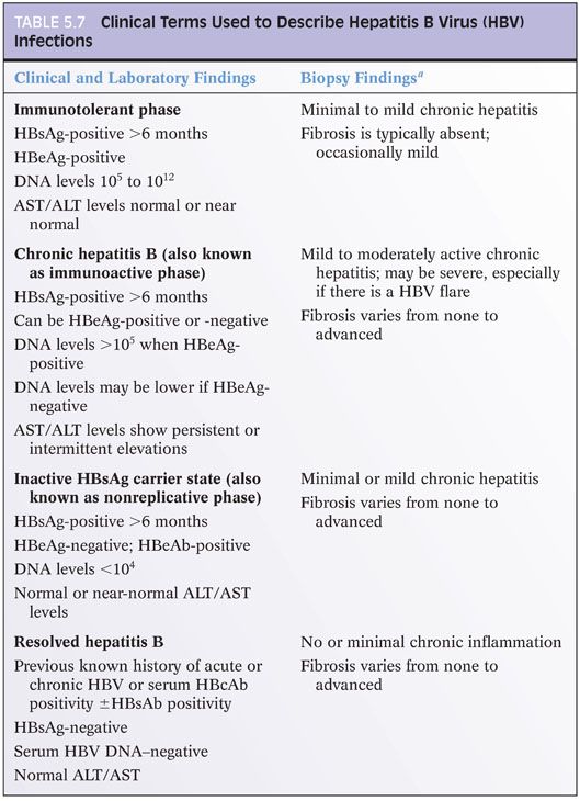 Acute And Chronic Viral Hepatitis Abdominal Key 