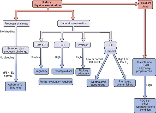 Primary Amenorrhea Algorithm