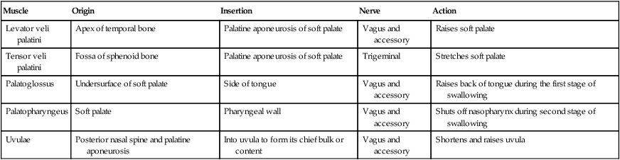 Image result for soft palate muscles table