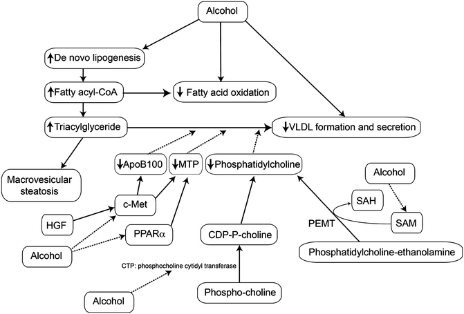 A319016_1_En_3_Fig3_HTML.gif