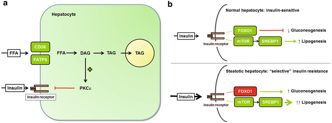 A319016_1_En_4_Fig2_HTML.gif