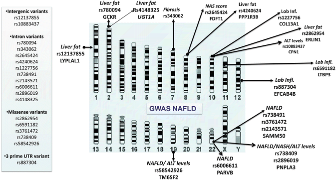 A319016_1_En_7_Fig4_HTML.gif