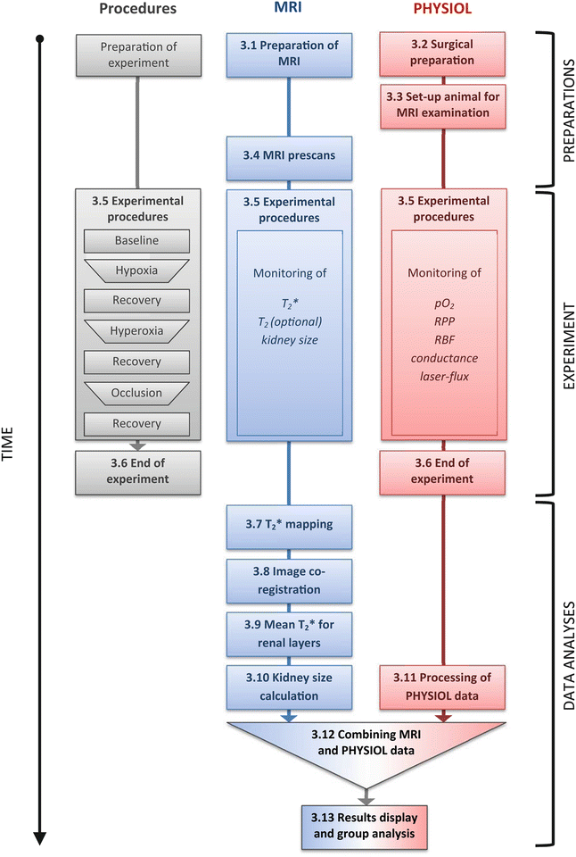 A321592_2_En_11_Fig3_HTML.gif