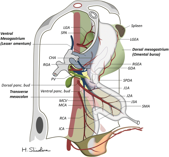 A336115_1_En_1_Fig3_HTML.gif