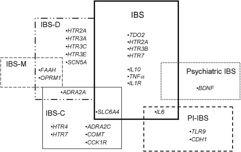 gr4.jpg | Abdominal Key