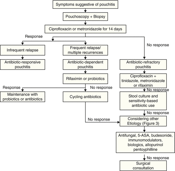 Management of Acute and Chronic Pouchitis | Abdominal Key