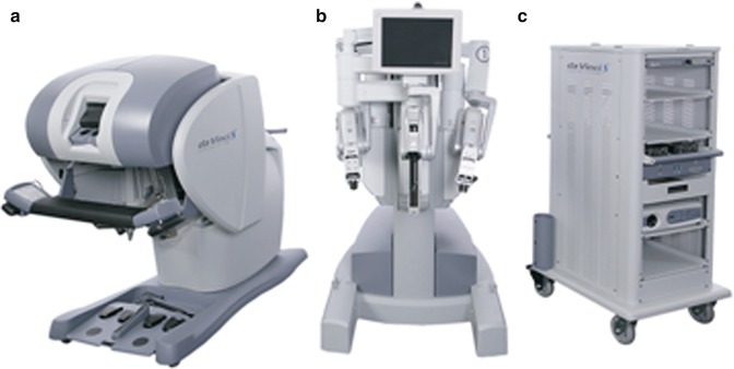 A305352_1_En_15_Fig2_HTML.jpg