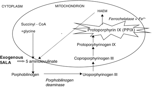 A305428_1_En_14_Fig1_HTML.gif