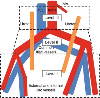 A305428_1_En_21_Fig2_HTML.jpg