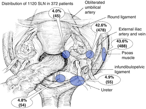 Cervical Lymph Nodes Location