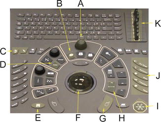 A306046_1_En_2_Fig2_HTML.jpg