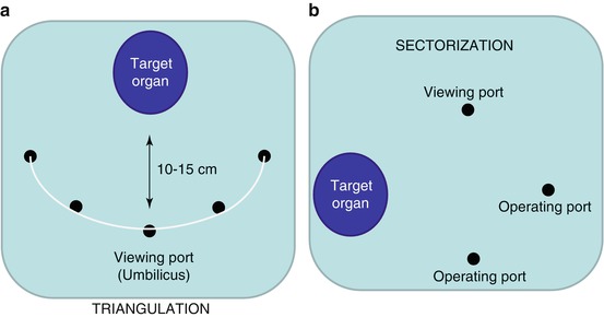 A308679_1_En_4_Fig6_HTML.jpg