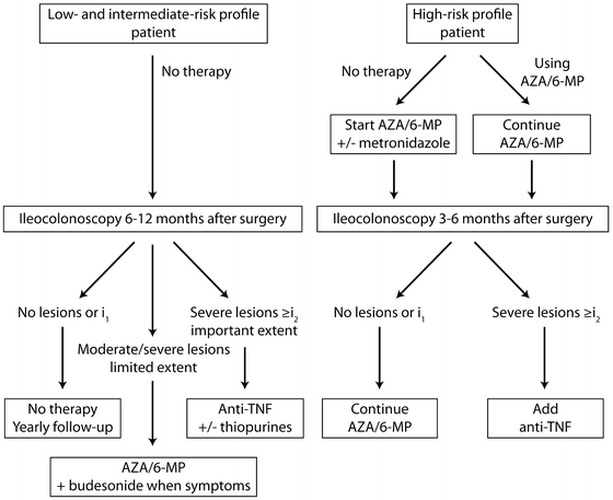 A318160_1_En_14_Fig4_HTML.gif