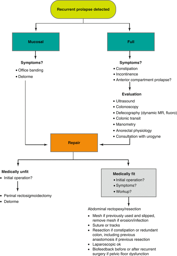 Rectal Prolapse: Current Evaluation, Management, And Treatment Of A ...