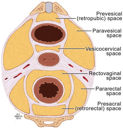 A978-1-4614-9022-7_19_Fig2_HTML.jpg