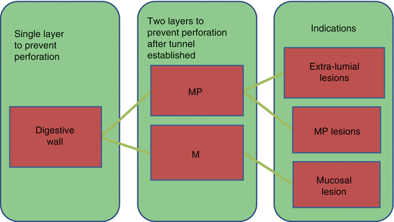 A978-94-007-7344-8_1_Fig1_HTML.gif | Abdominal Key