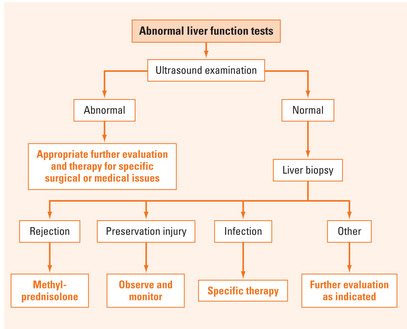 Medical Problems After Liver Transplantation | Abdominal Key