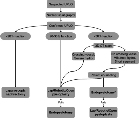 gr4.jpg | Abdominal Key