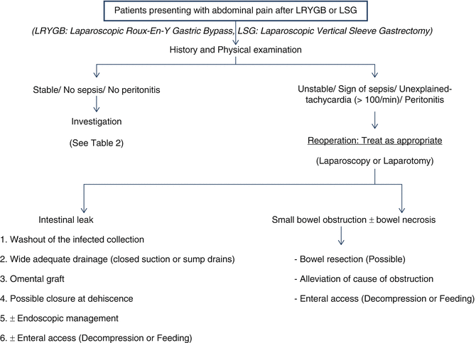 Work Up Of Abdominal Pain In The Gastric Bypass And Vertical Sleeve Gastrectomy Patient Abdominal Key