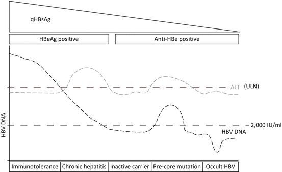 Clinical Virology: Diagnosis And Virologic Monitoring | Abdominal Key