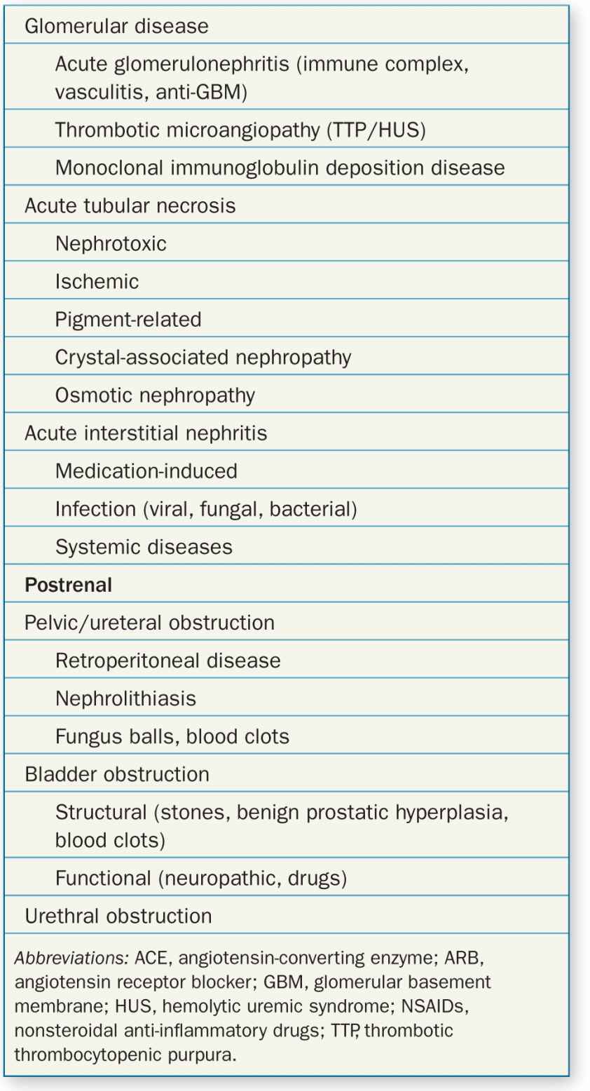 Acute Kidney Injury | Abdominal Key