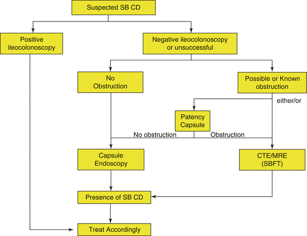 Video Capsule Endoscopy In Inflammatory Bowel Disease | Abdominal Key